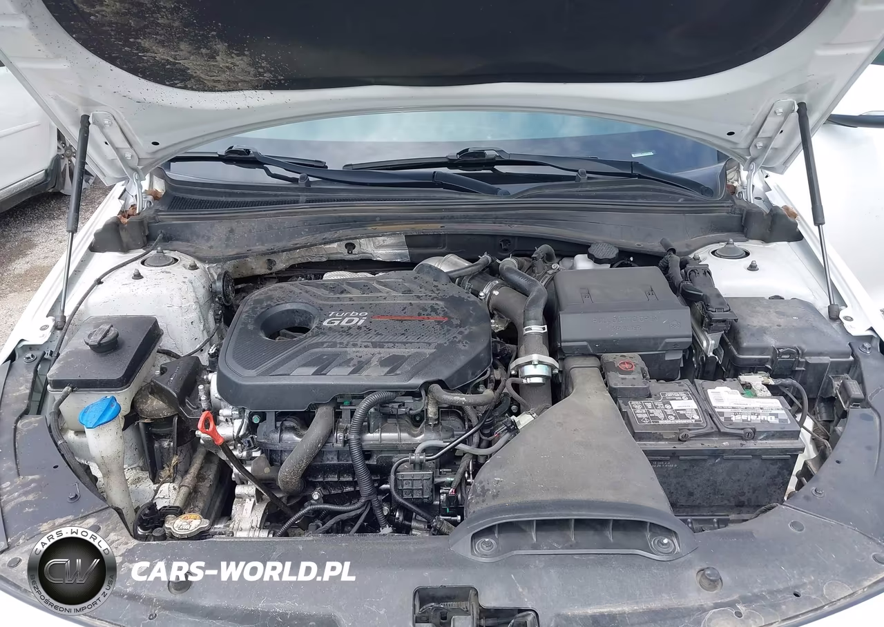 2018 Kia Optima Sx Turbo VIN:5XXGV4L23JG249848 - 10