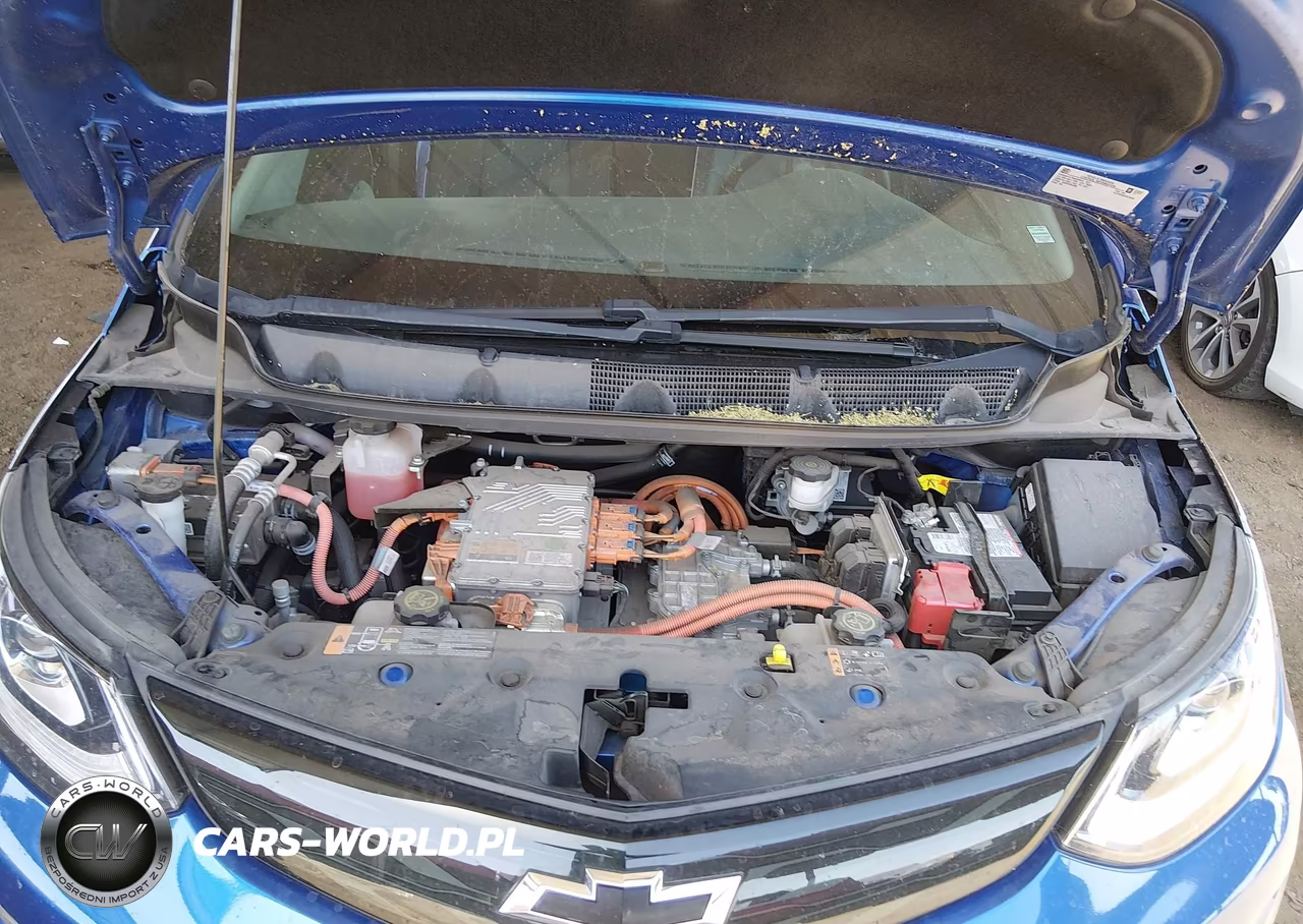 2017 Chevrolet Bolt Ev Premier VIN:1G1FX6S05H4176349 - 10