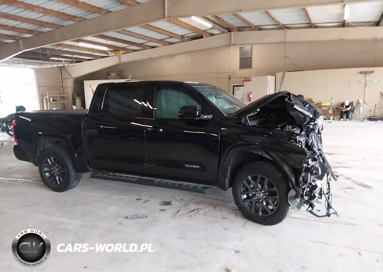 2023 Toyota Tundra Platinum VIN:5TFNA5DB0PX069266 - 12