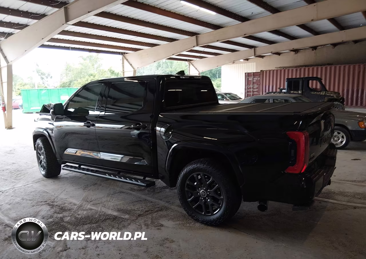 2023 Toyota Tundra Platinum VIN:5TFNA5DB0PX069266 - 13
