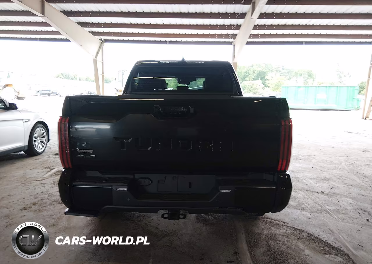 2023 Toyota Tundra Platinum VIN:5TFNA5DB0PX069266 - 15