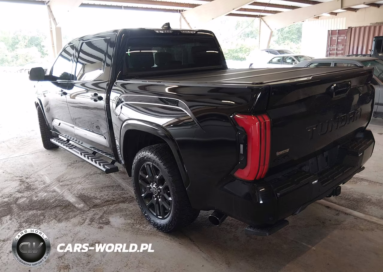 2023 Toyota Tundra Platinum VIN:5TFNA5DB0PX069266 - 3