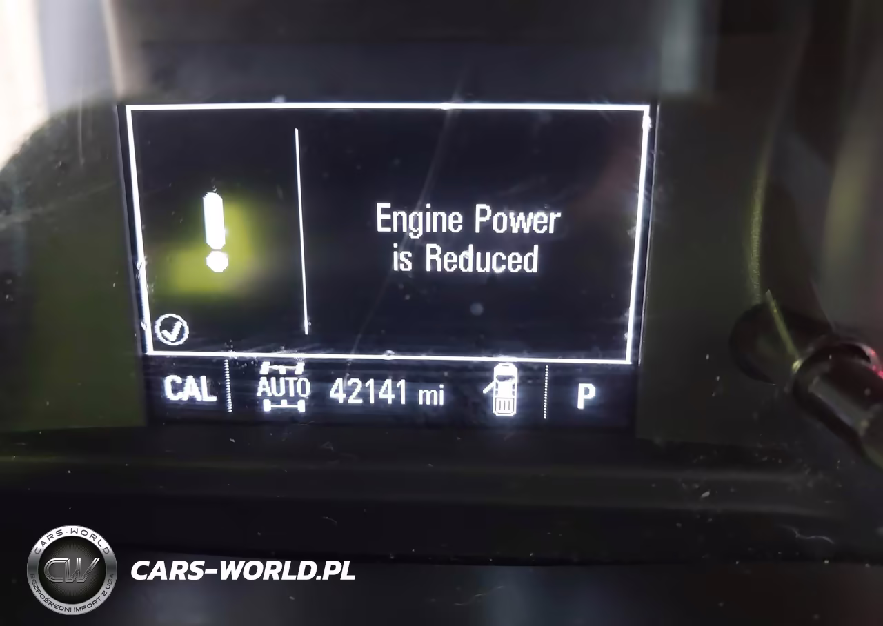 2019 Chevrolet Silverado 1500 Custom Trail Boss VIN:1GCRYCEF2KZ262731 - 16