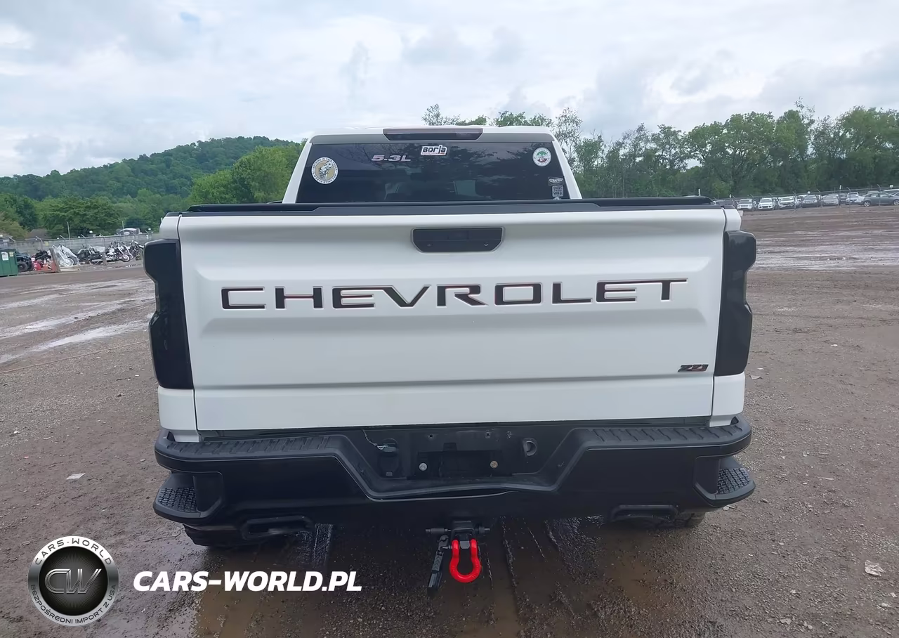 2019 Chevrolet Silverado 1500 Custom Trail Boss VIN:1GCRYCEF2KZ262731 - 17