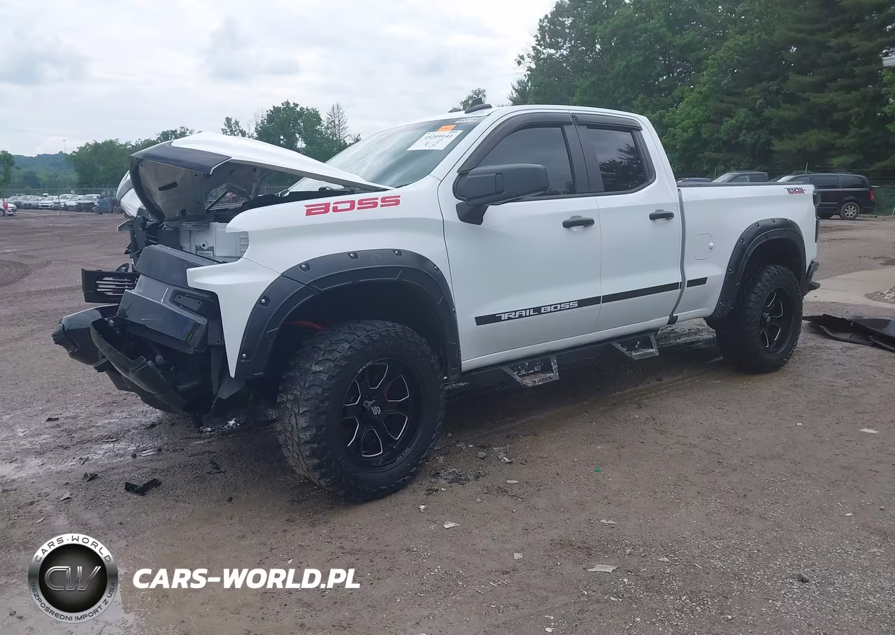 2019 Chevrolet Silverado 1500 Custom Trail Boss VIN:1GCRYCEF2KZ262731 - 2