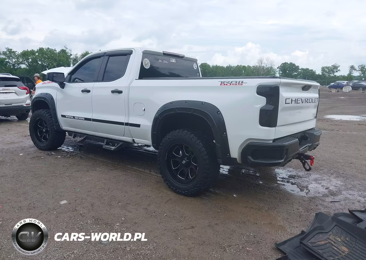 2019 Chevrolet Silverado 1500 Custom Trail Boss VIN:1GCRYCEF2KZ262731 - 3