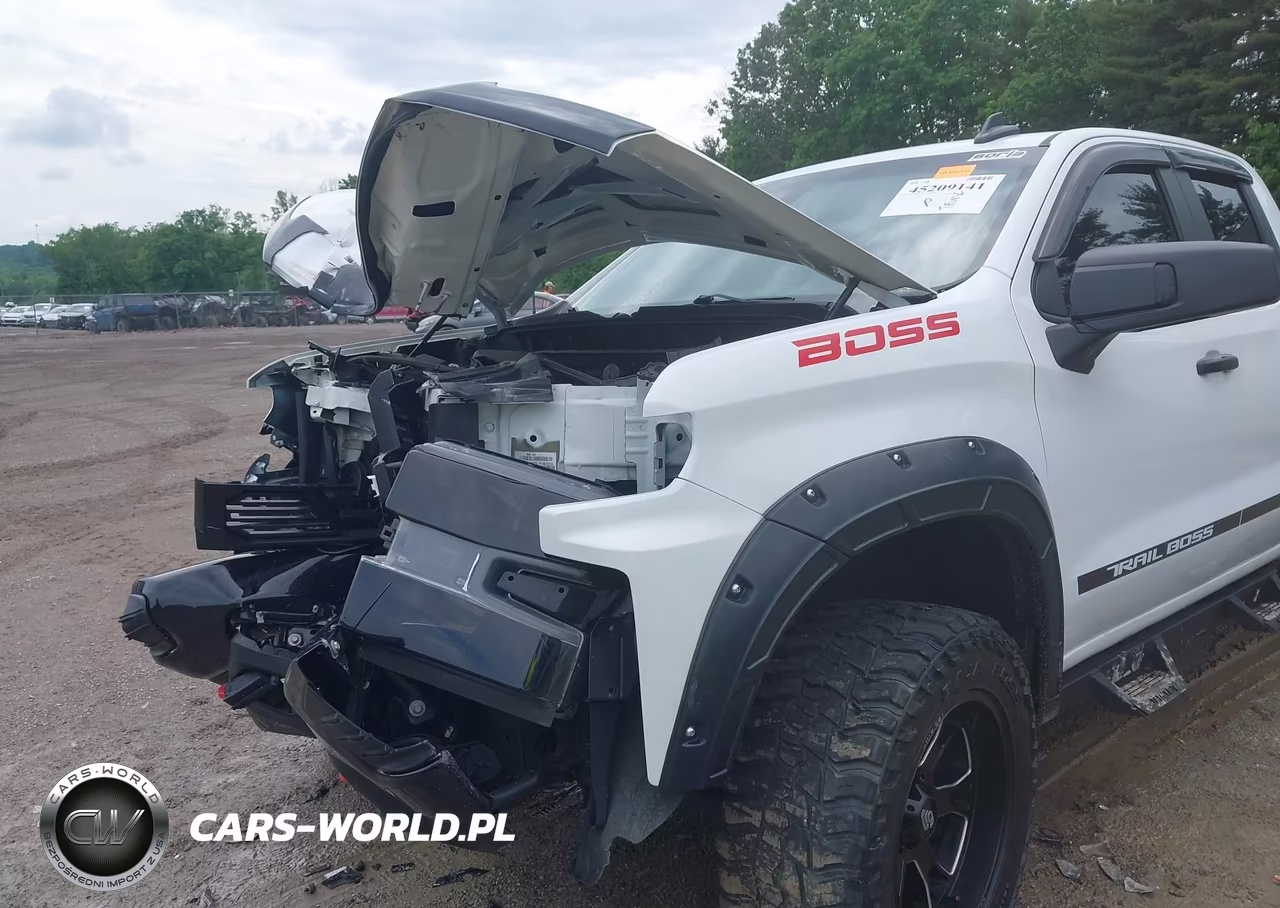 2019 Chevrolet Silverado 1500 Custom Trail Boss VIN:1GCRYCEF2KZ262731 - 6