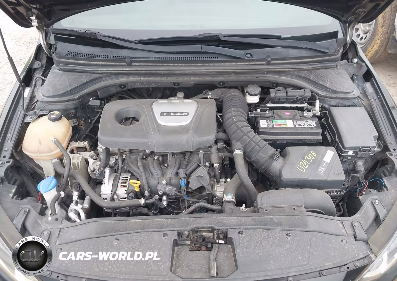 2017 Hyundai Elantra Sport VIN:KMHD04LB5HU352013 - 10