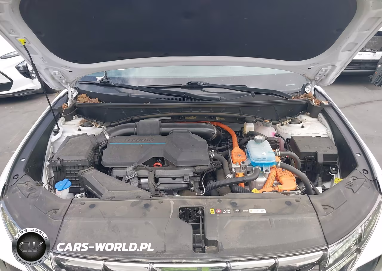 2024 Hyundai Tucson Plug-In Hybrid Limited VIN:KM8JFDD24RU139796 - 10