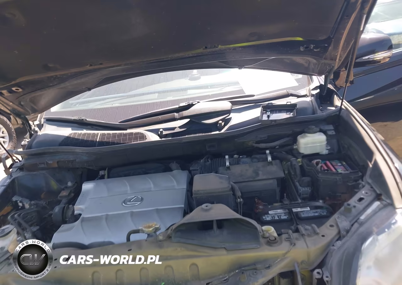 2011 Lexus Rx 350 VIN:2T2BK1BA5BC082360 - 10