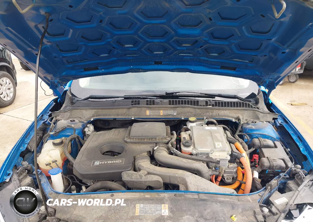 2019 Ford Fusion Hybrid Titanium VIN:3FA6P0RU4KR255321 - 10
