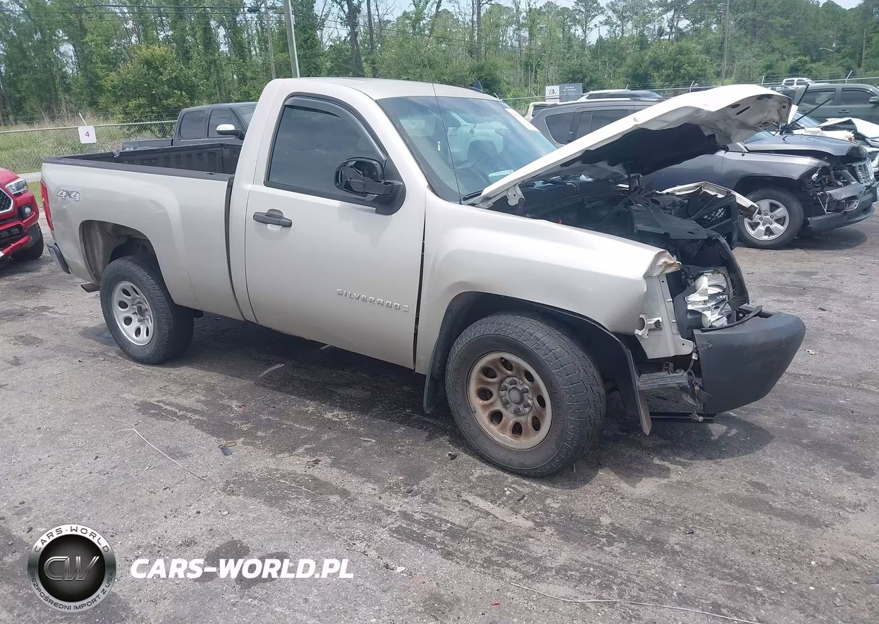 2008 Chevrolet Silverado 1500 Work Truck