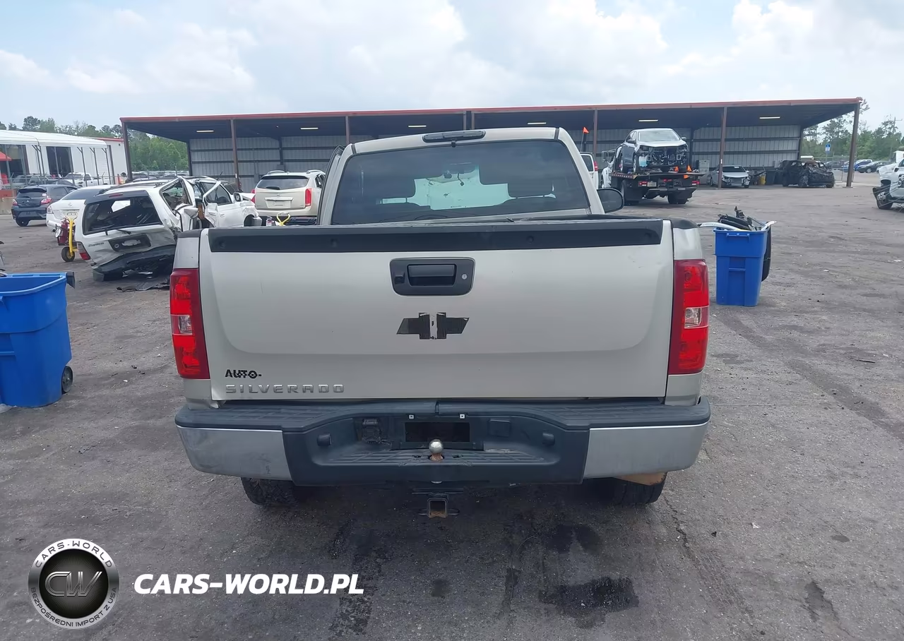 2008 Chevrolet Silverado 1500 Work Truck VIN:1GCEK14X98Z199926 - 17
