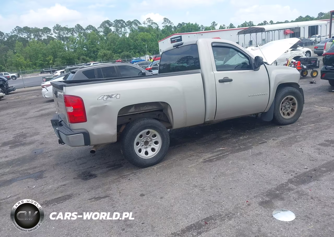 2008 Chevrolet Silverado 1500 Work Truck VIN:1GCEK14X98Z199926 - 4