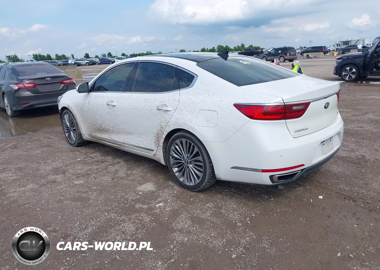 2017 Kia Cadenza Limited VIN:KNALC4J15H5064999 - 3