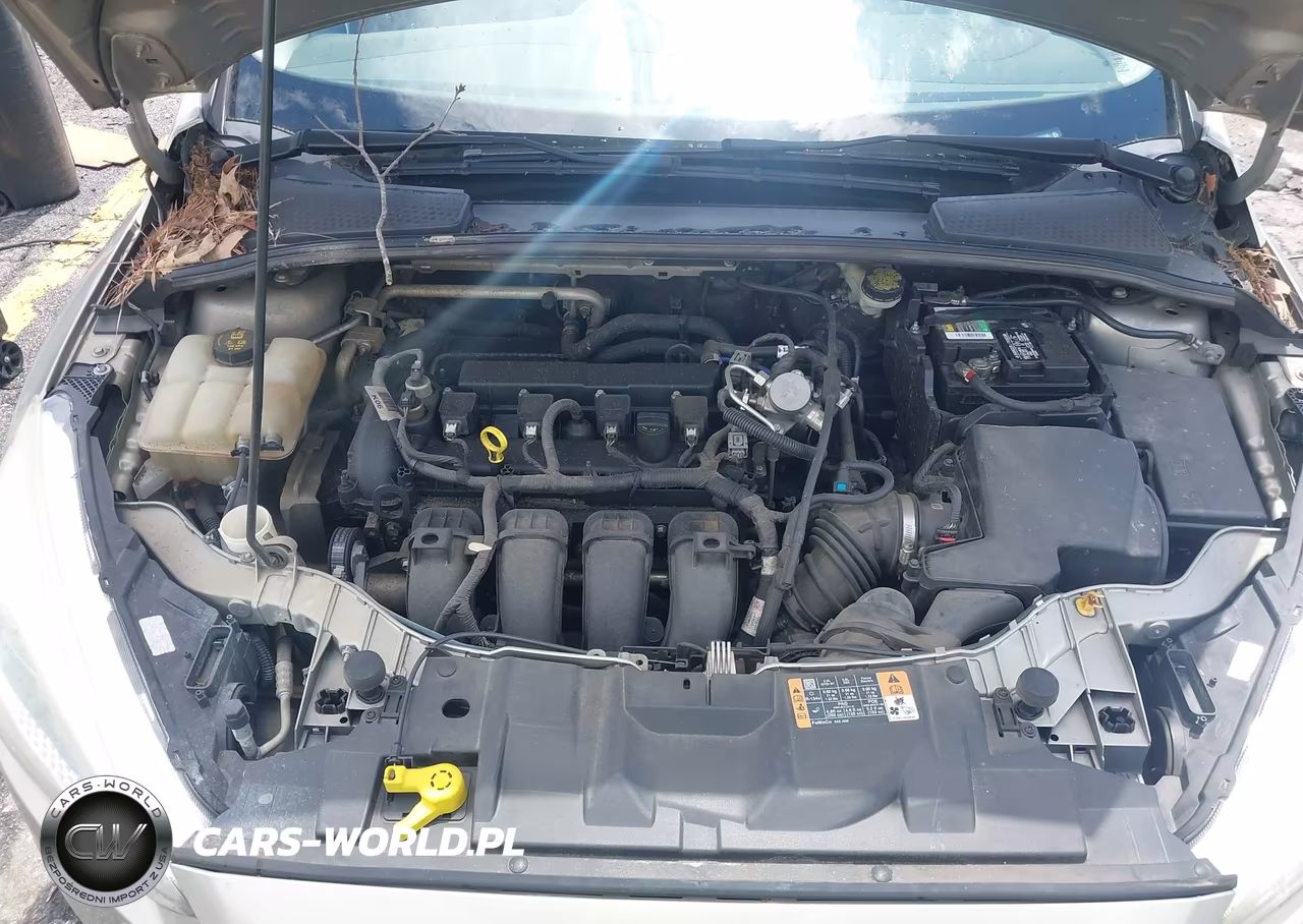 2016 Ford Focus Se VIN:1FADP3F23GL365259 - 10