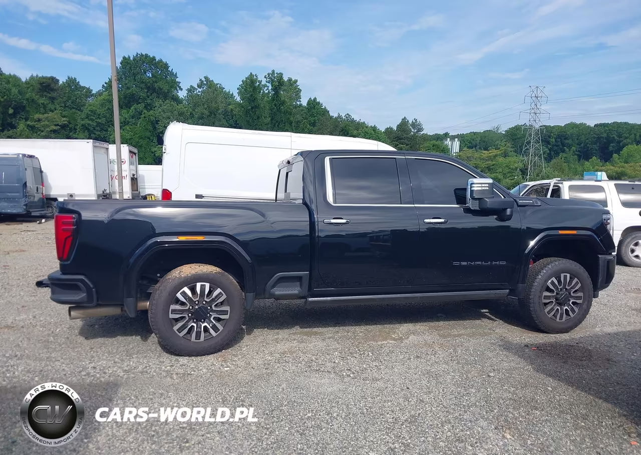 2025 GMC Sierra 3500Hd 4Wd Standard Bed Denali Ultimate VIN:1GT4UYEY7SF286075 - 13
