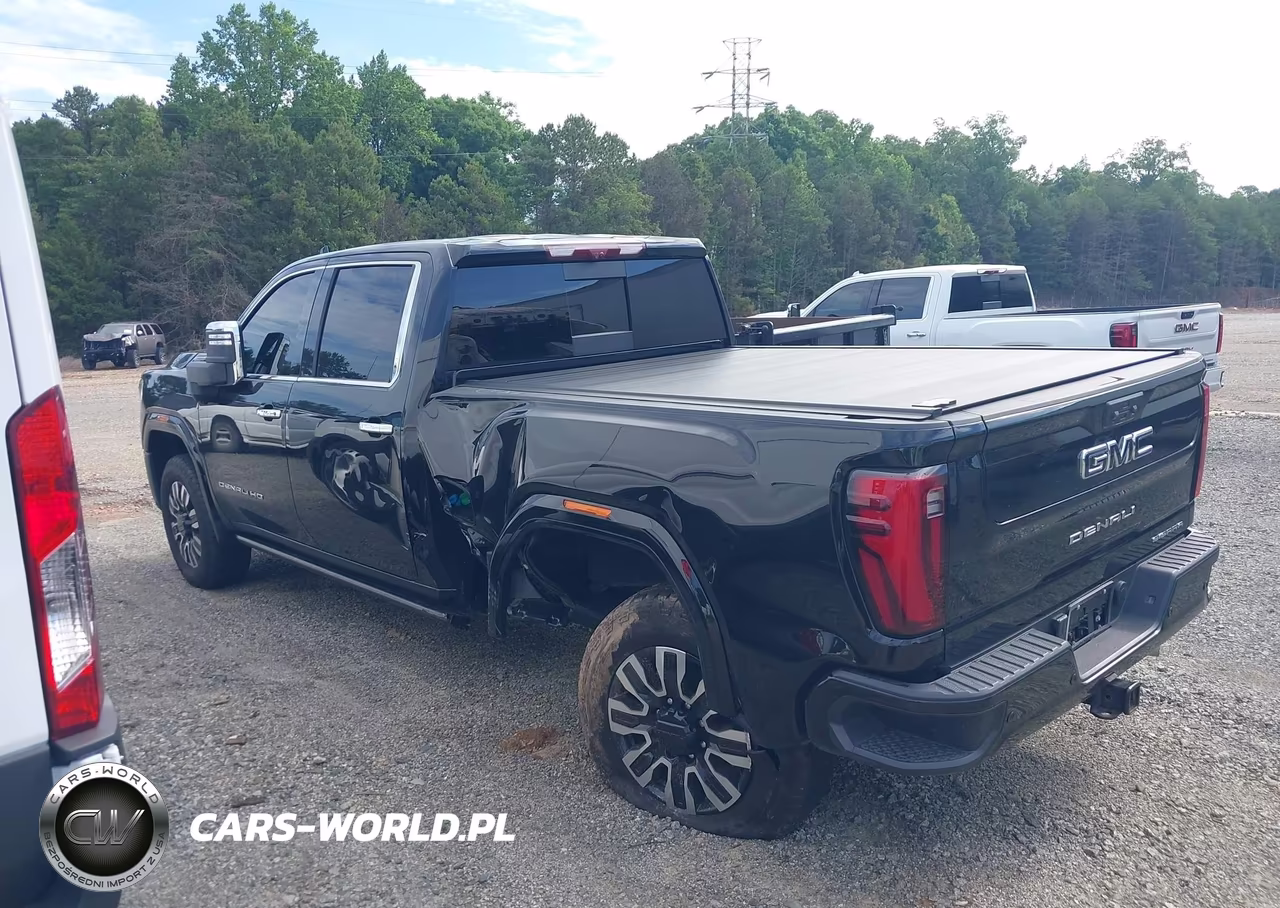 2025 GMC Sierra 3500Hd 4Wd Standard Bed Denali Ultimate VIN:1GT4UYEY7SF286075 - 14