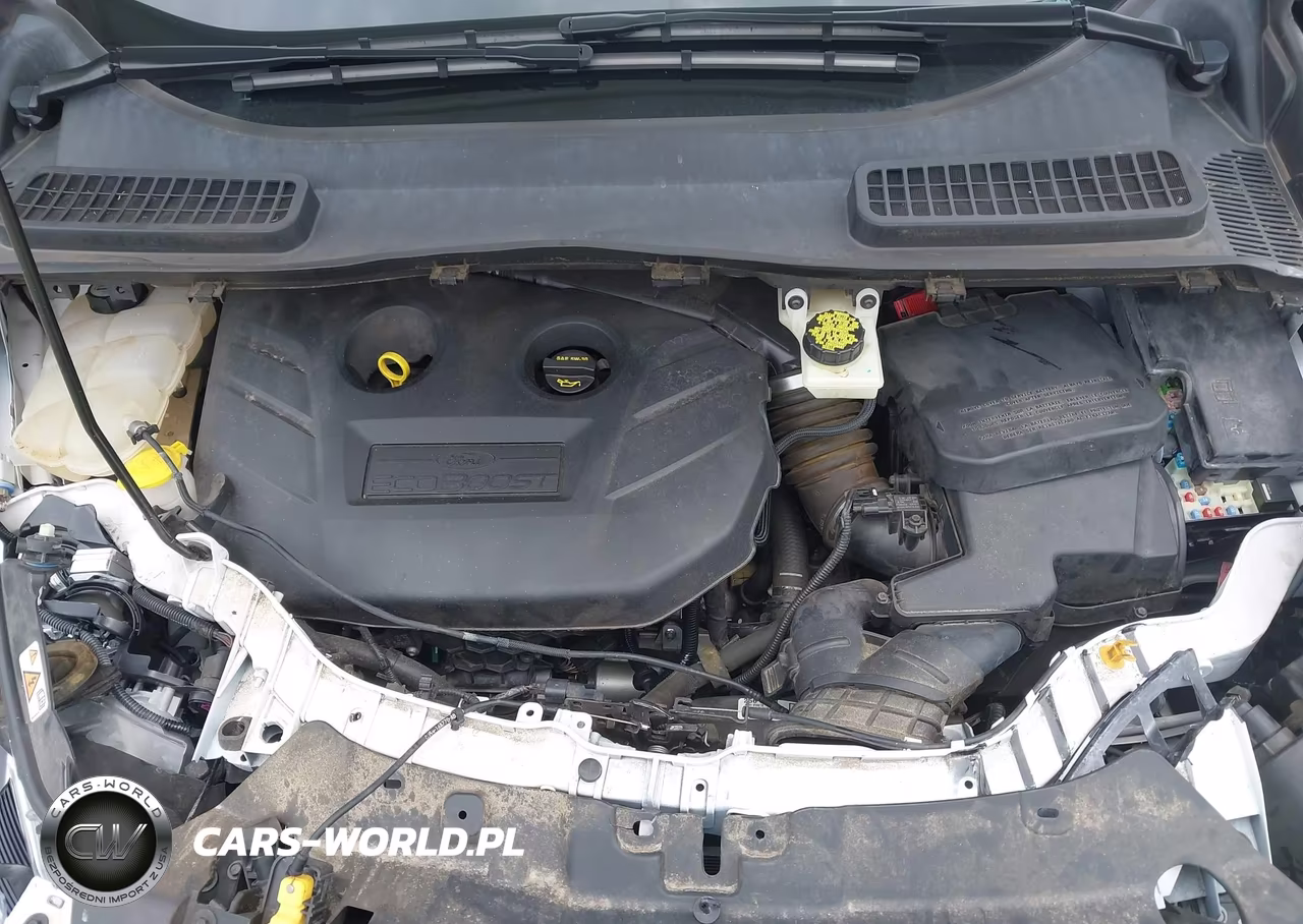 2013 Ford Escape Titanium VIN:1FMCU0J90DUB12760 - 10