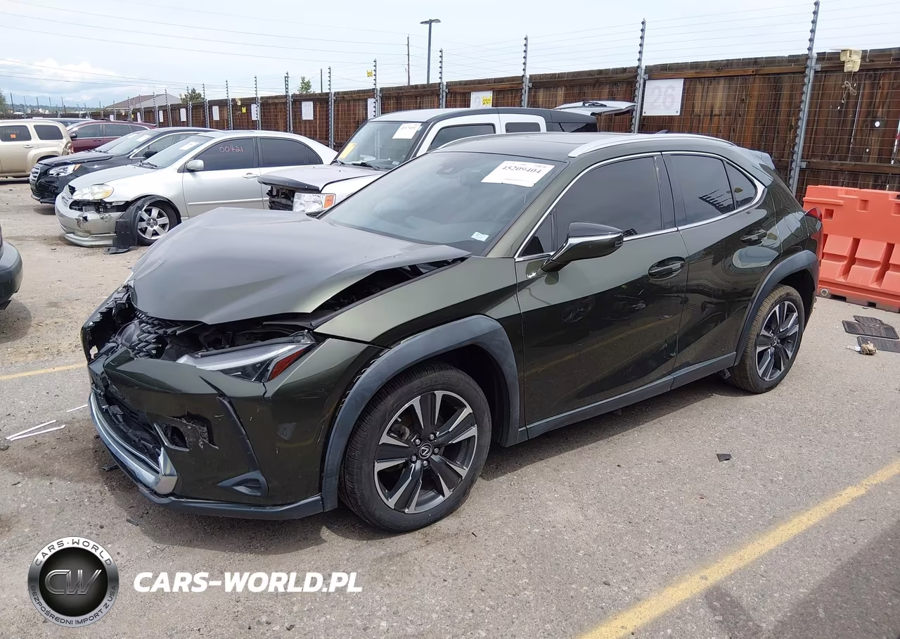 2019 Lexus Ux 200 VIN:JTHY3JBH1K2005328 - 2