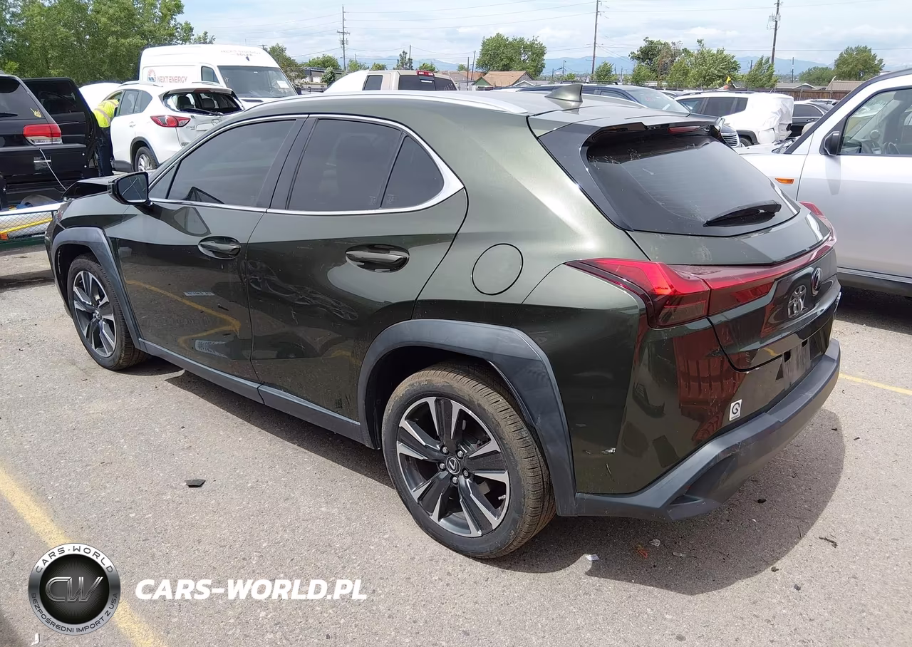 2019 Lexus Ux 200 VIN:JTHY3JBH1K2005328 - 3