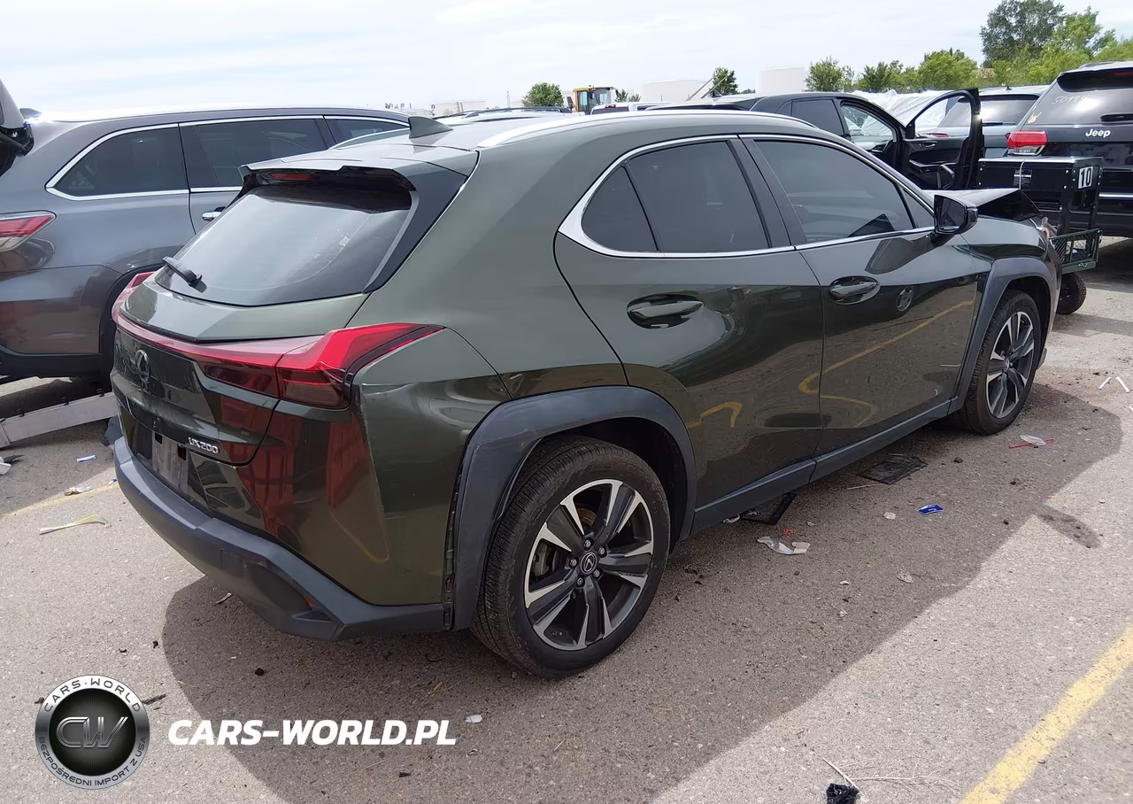2019 Lexus Ux 200 VIN:JTHY3JBH1K2005328 - 4
