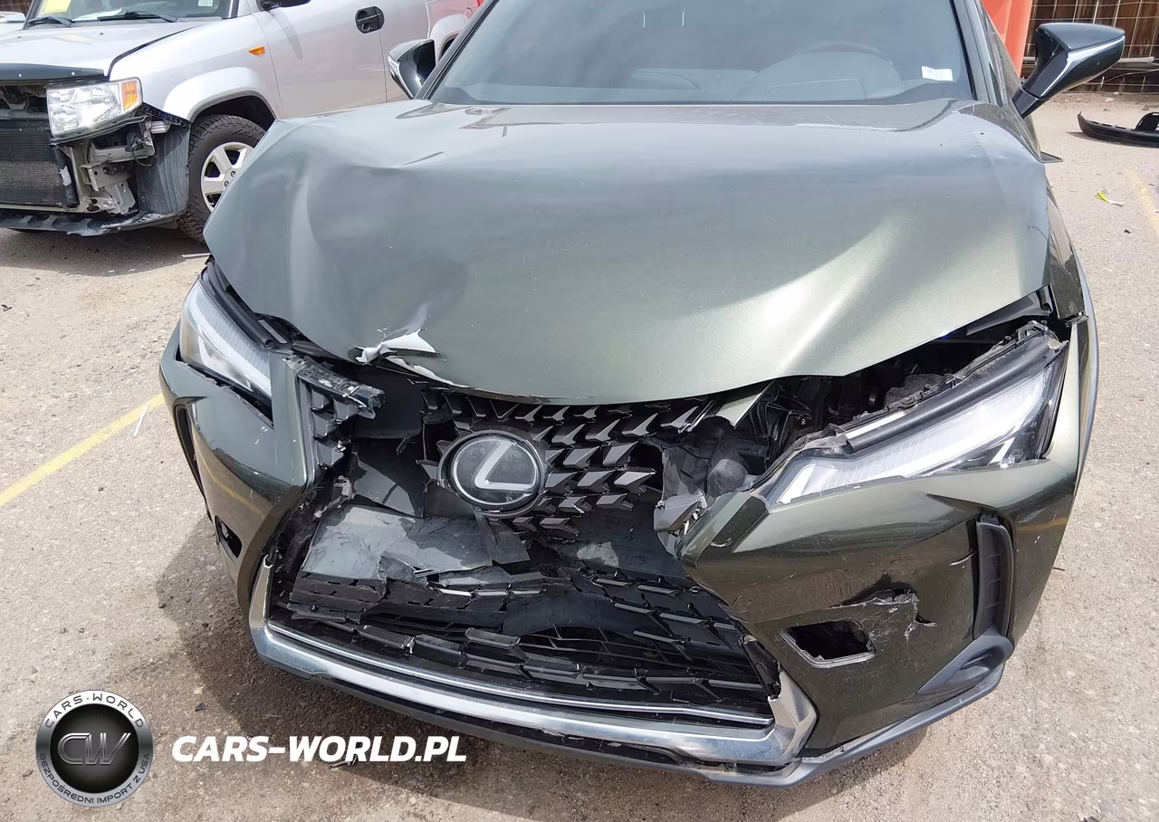 2019 Lexus Ux 200 VIN:JTHY3JBH1K2005328 - 6