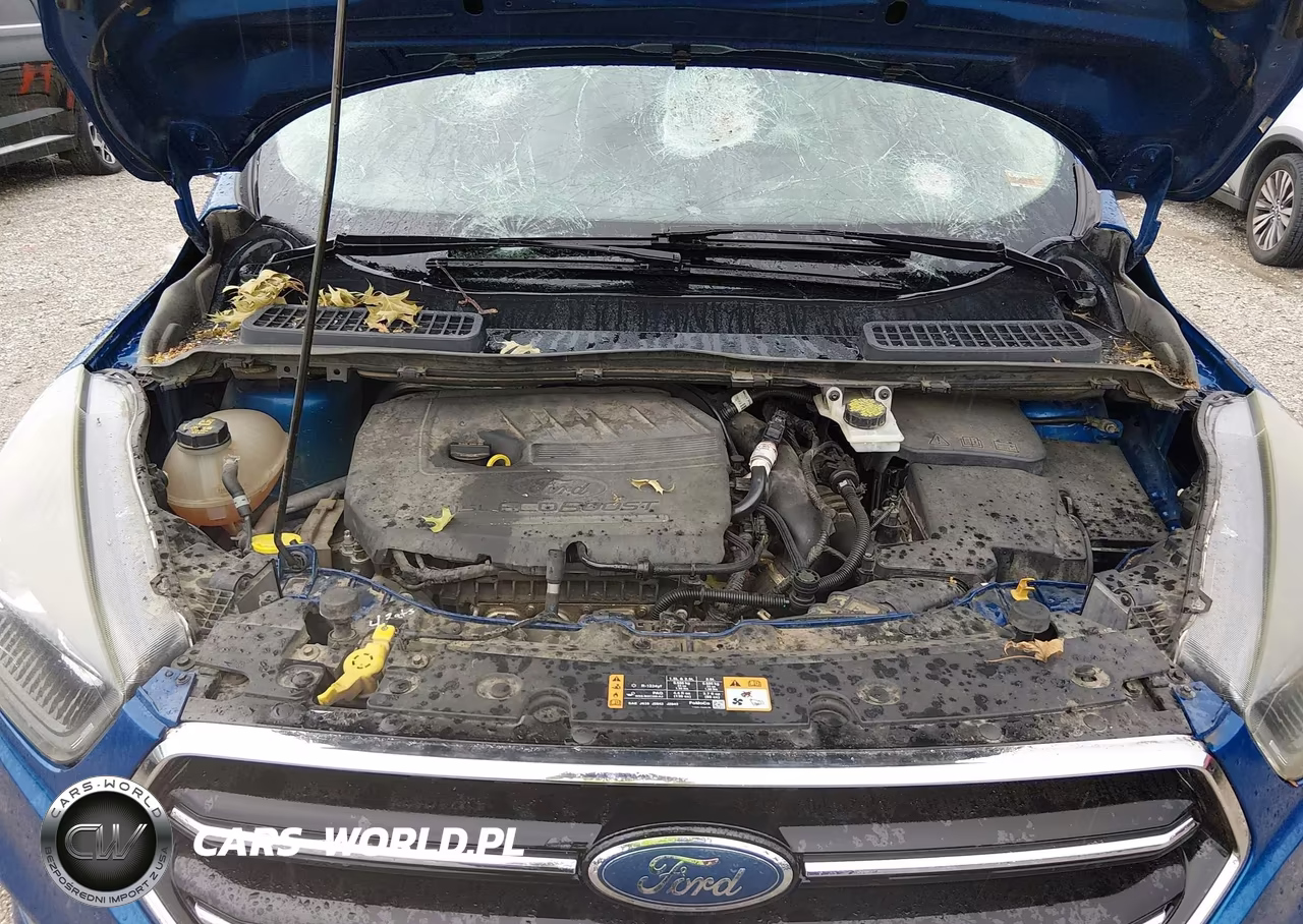2017 Ford Escape Se VIN:1FMCU0GD5HUD58236 - 10
