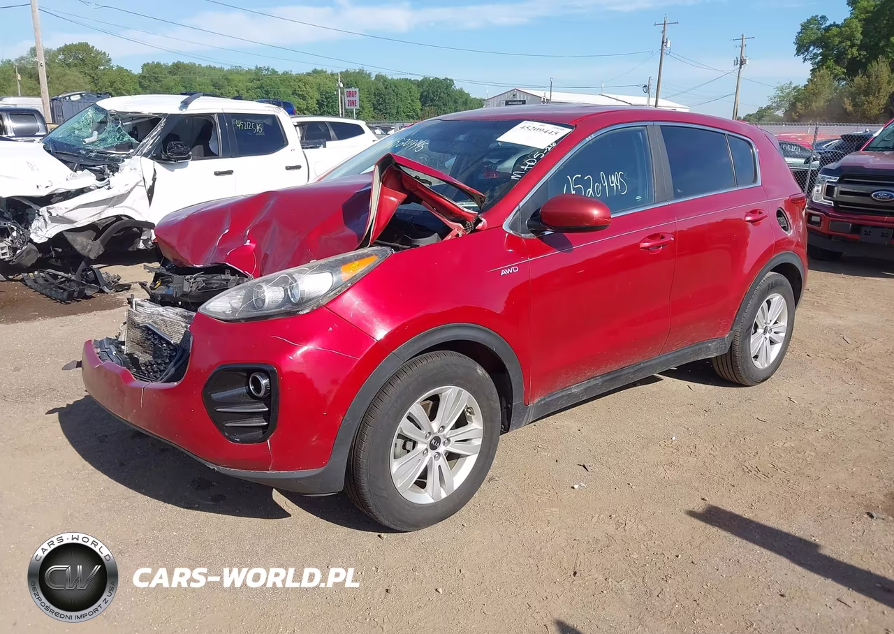 2019 Kia Sportage Lx VIN:KNDPMCAC4K7509239 - 2