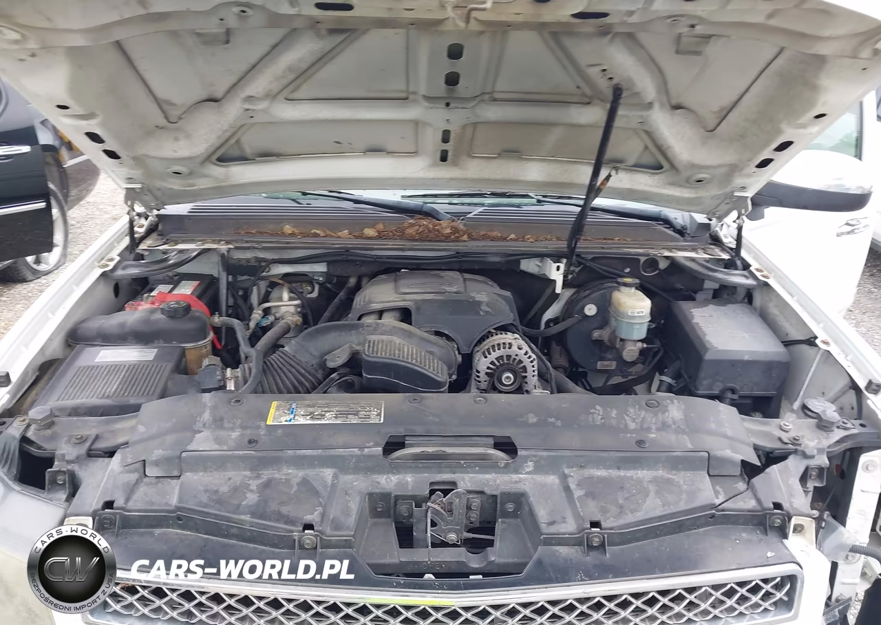 2009 Chevrolet Avalanche 1500 Lt1 VIN:3GNFK22019G283151 - 10
