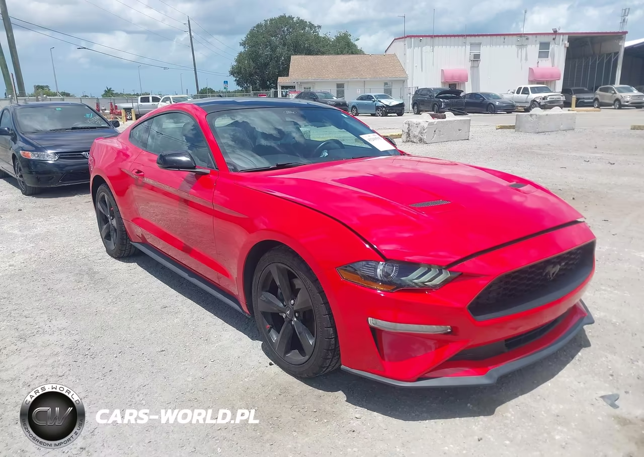 2022 Ford Mustang Ecoboost Fastback – zdjęcie 1 z 16