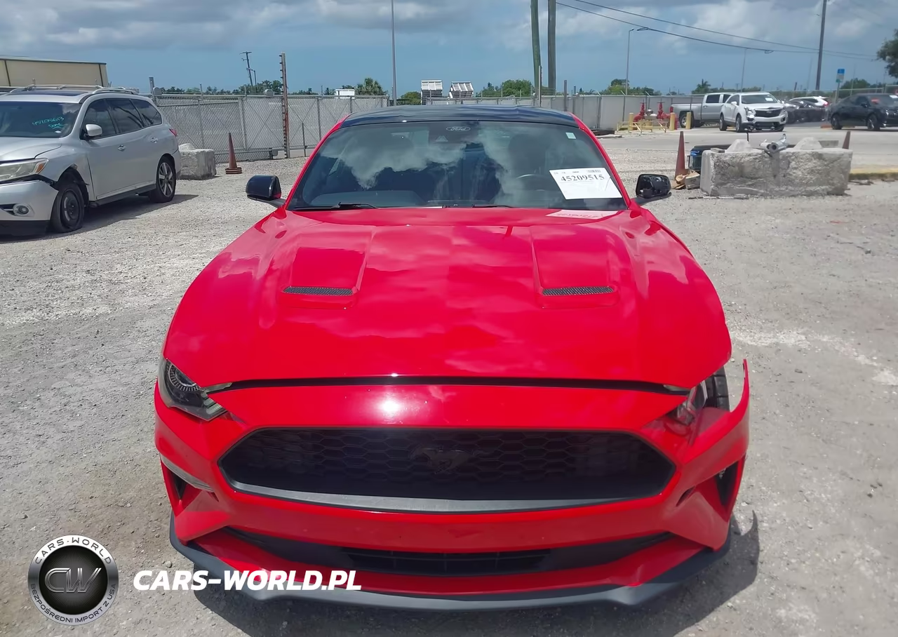 2022 Ford Mustang Ecoboost Fastback VIN:1FA6P8THXN5107918 - 12