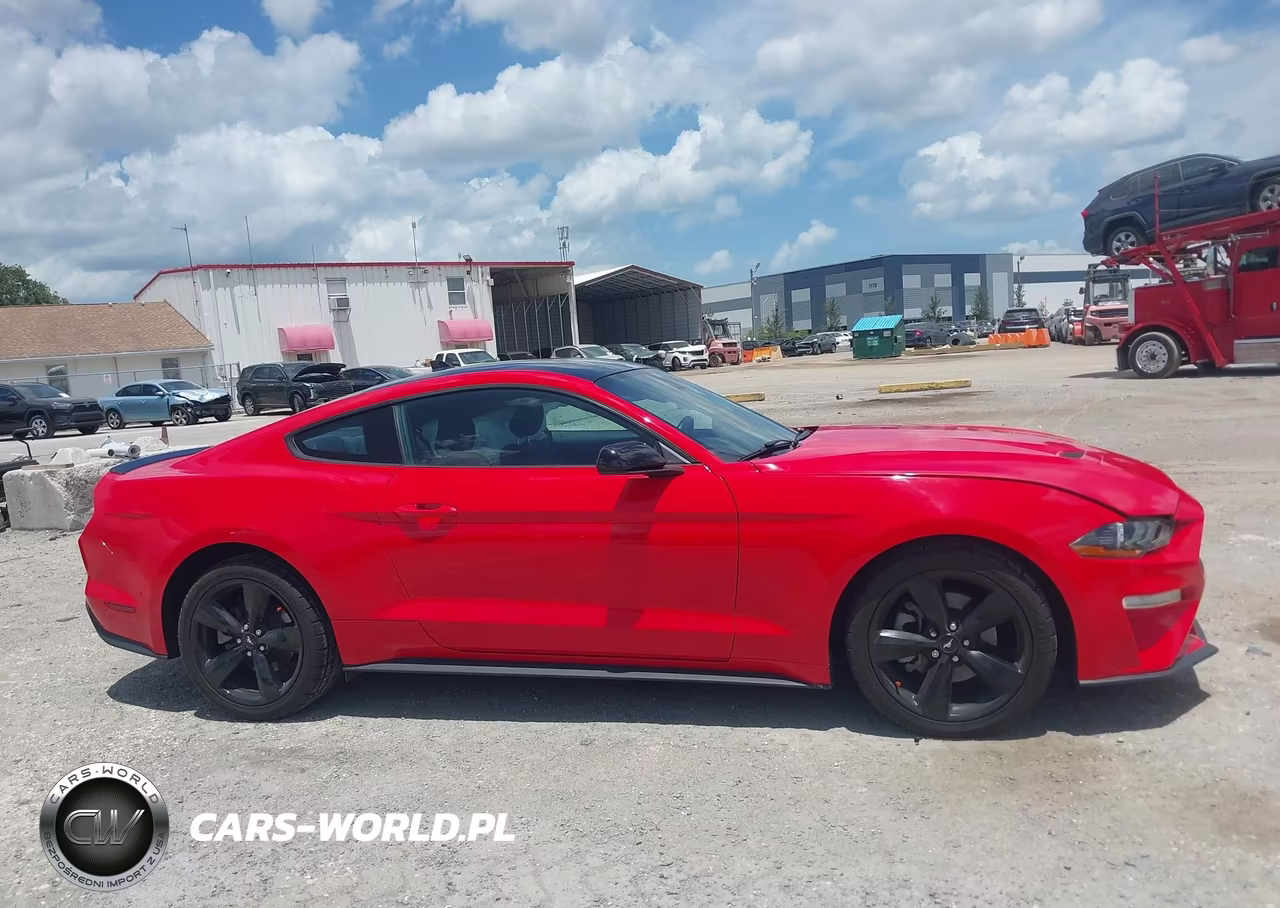 2022 Ford Mustang Ecoboost Fastback VIN:1FA6P8THXN5107918 - 13