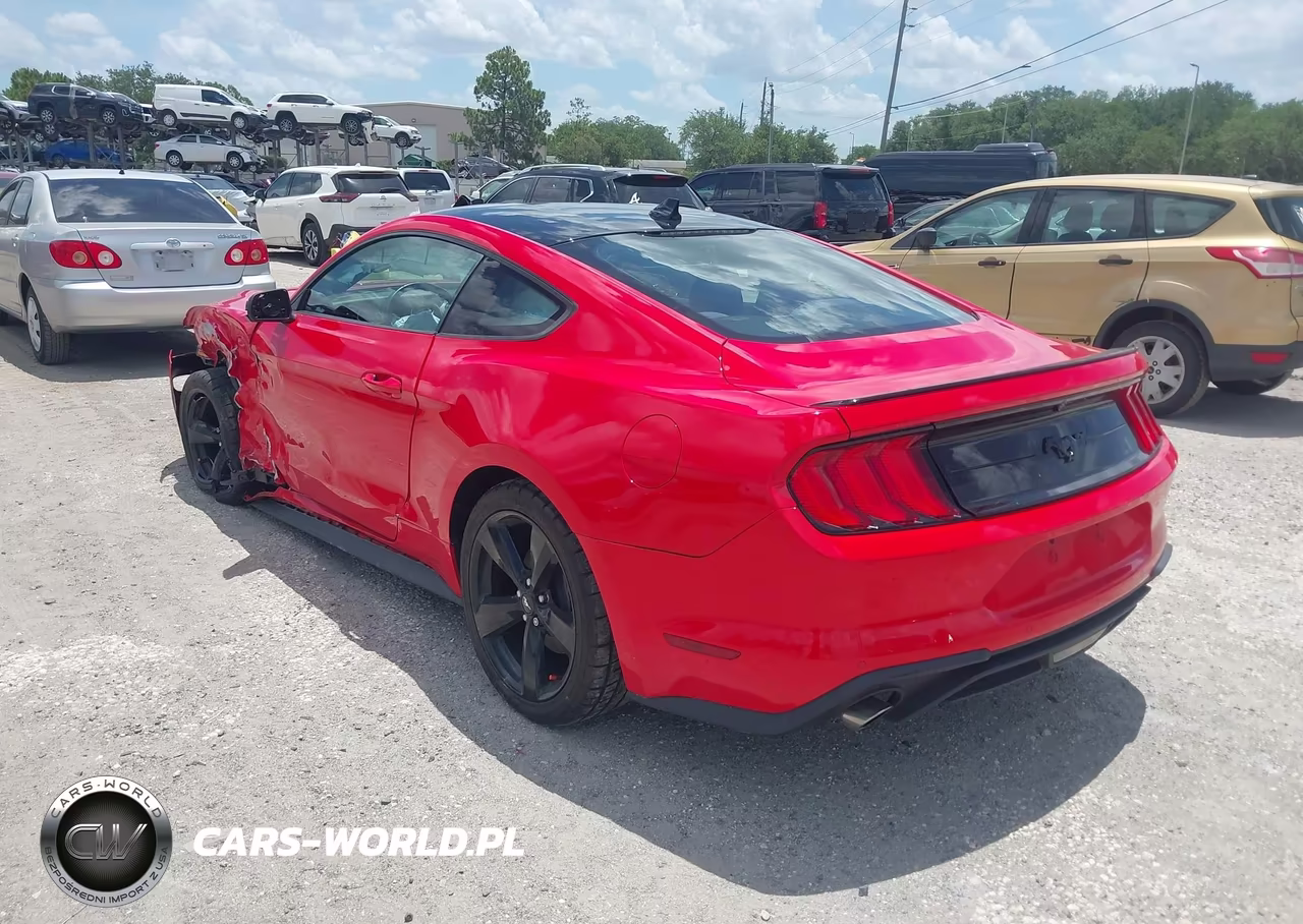 2022 Ford Mustang Ecoboost Fastback VIN:1FA6P8THXN5107918 - 3