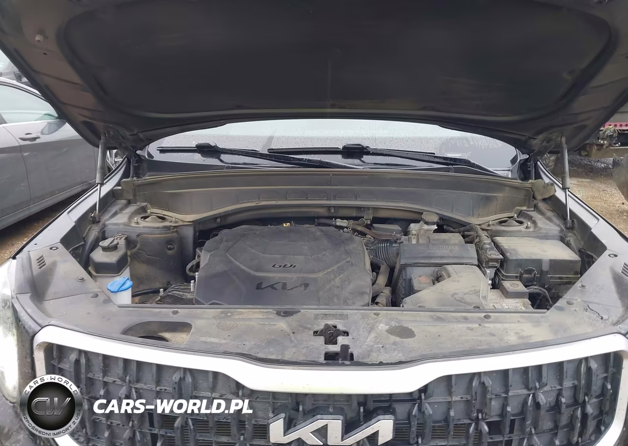 2023 Kia Telluride Ex VIN:5XYP34GC5PG402775 - 10