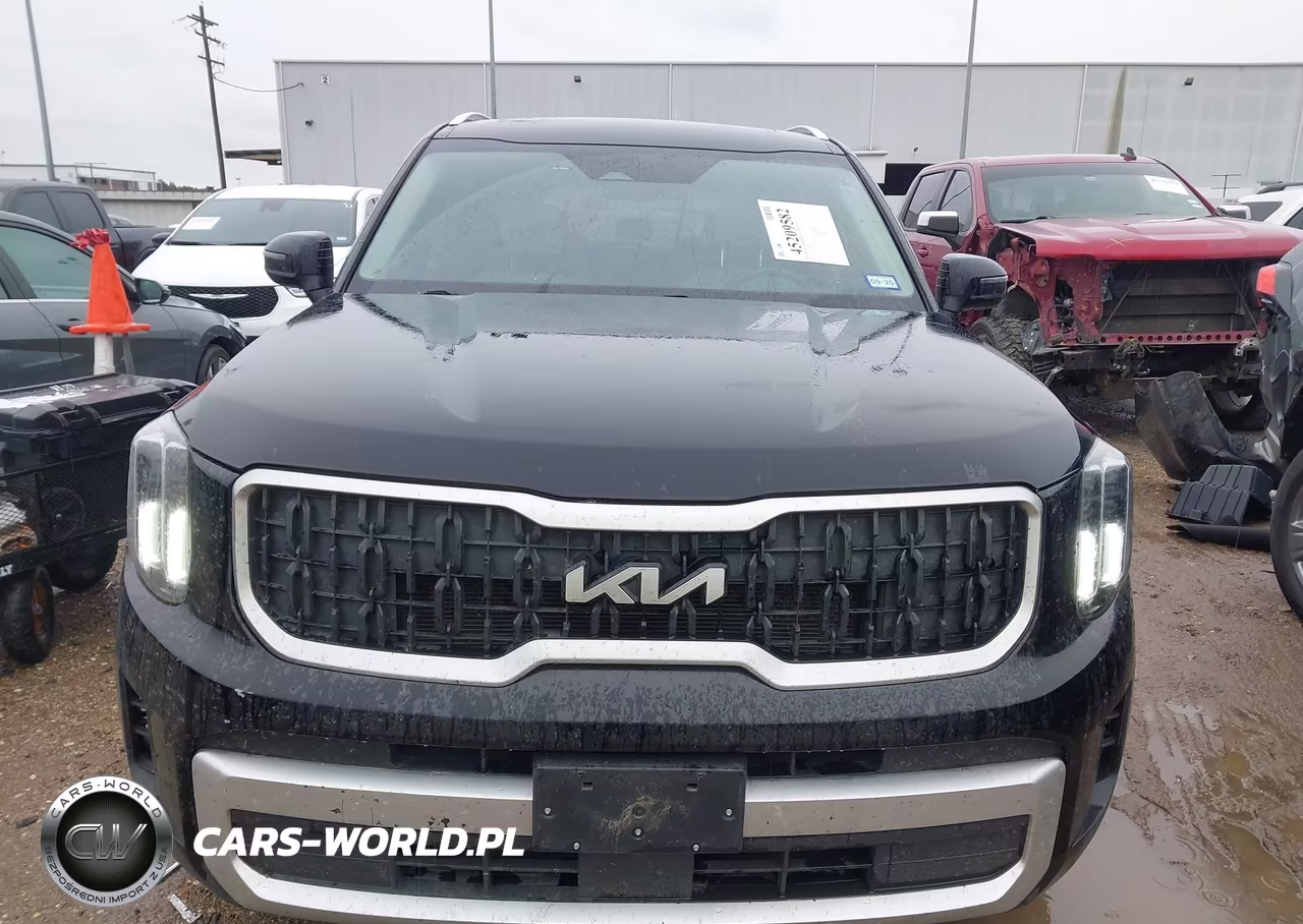 2023 Kia Telluride Ex VIN:5XYP34GC5PG402775 - 13