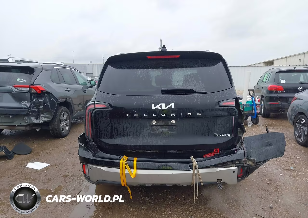 2023 Kia Telluride Ex VIN:5XYP34GC5PG402775 - 17