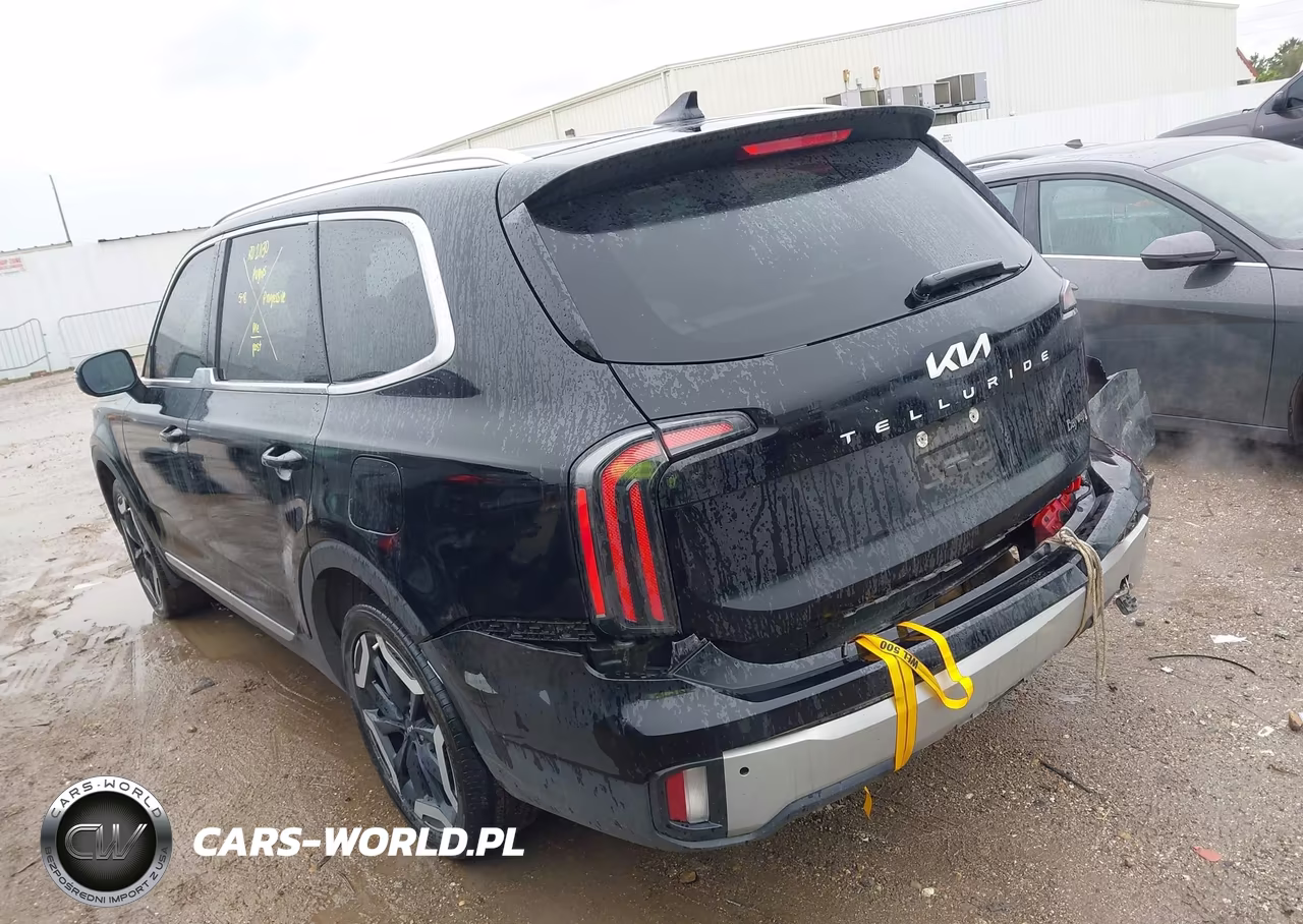 2023 Kia Telluride Ex VIN:5XYP34GC5PG402775 - 3