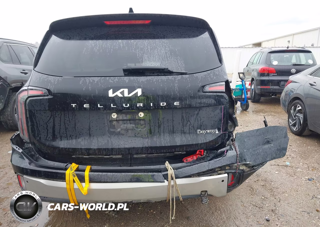 2023 Kia Telluride Ex VIN:5XYP34GC5PG402775 - 6