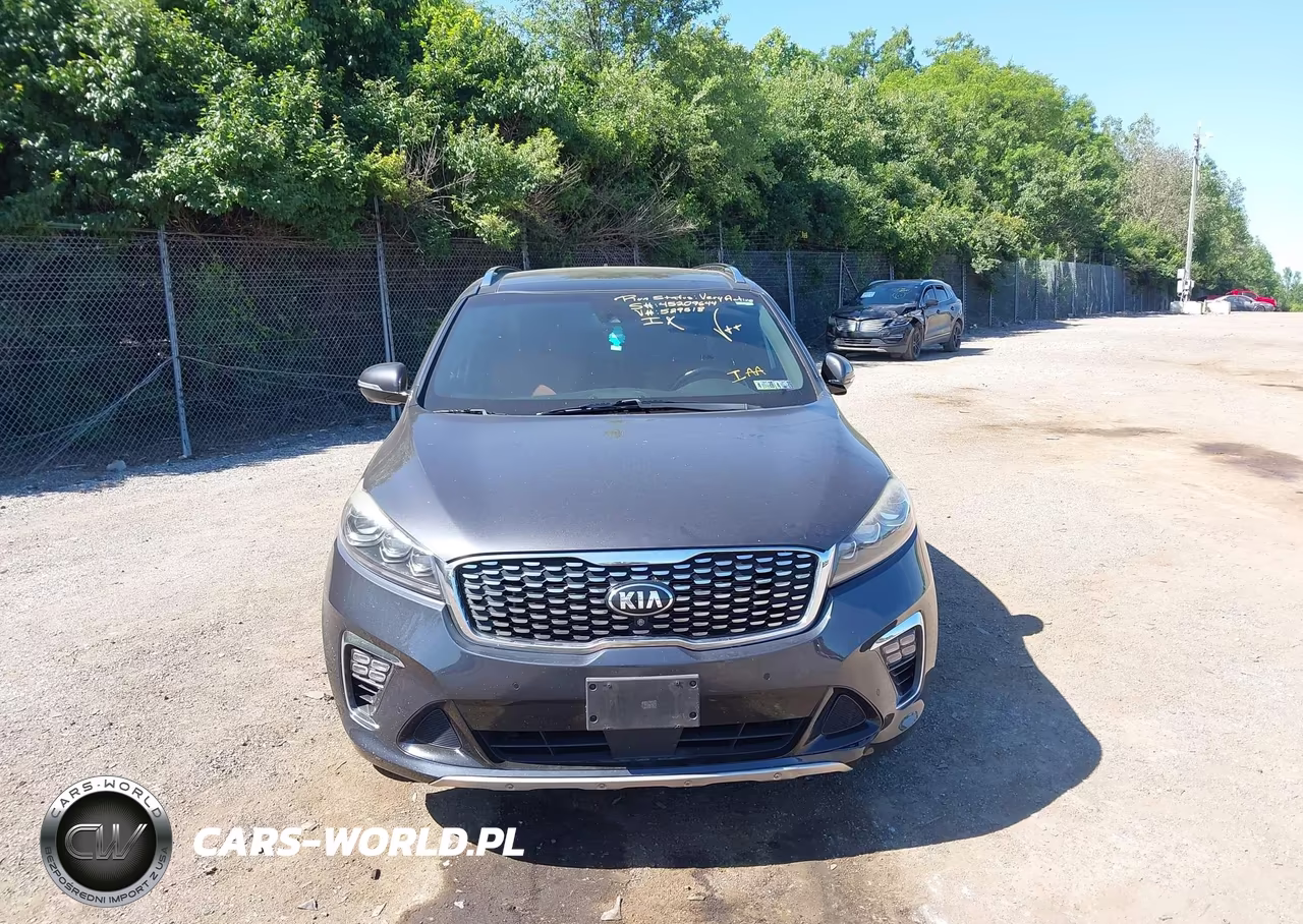 2019 Kia Sorento 3.3L Sxl VIN:5XYPKDA59KG529518 - 12