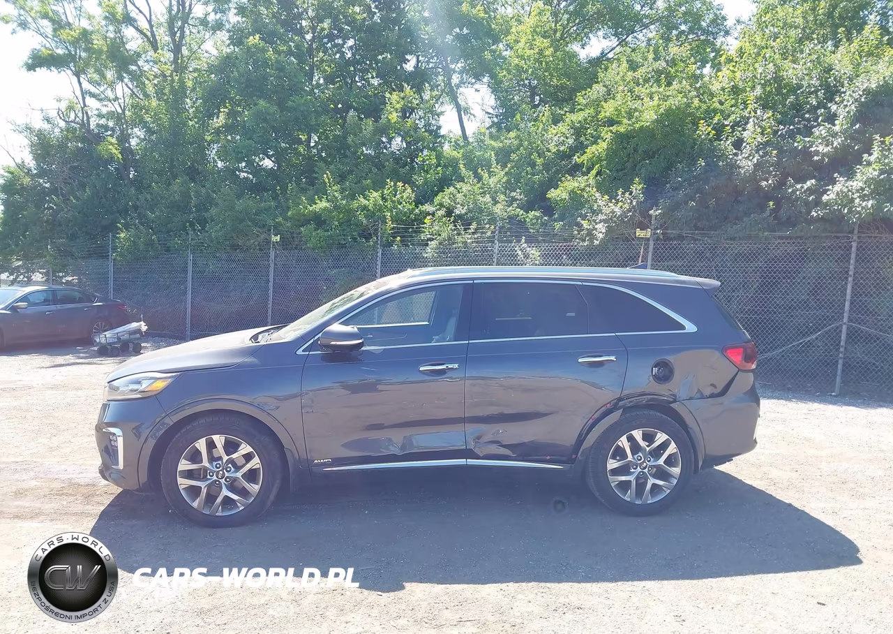2019 Kia Sorento 3.3L Sxl VIN:5XYPKDA59KG529518 - 14