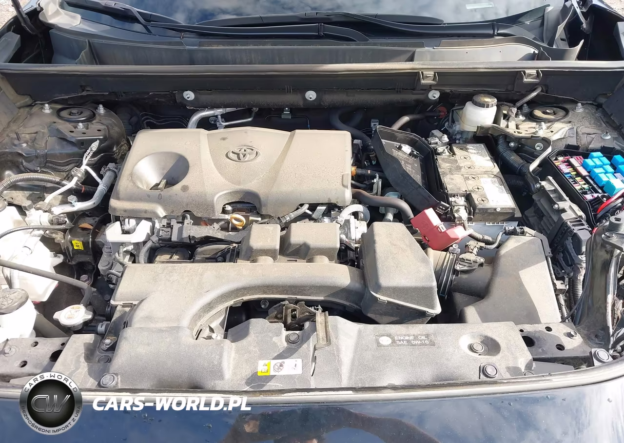 2023 Toyota Rav4 Xle VIN:2T3W1RFV8PC251936 - 10