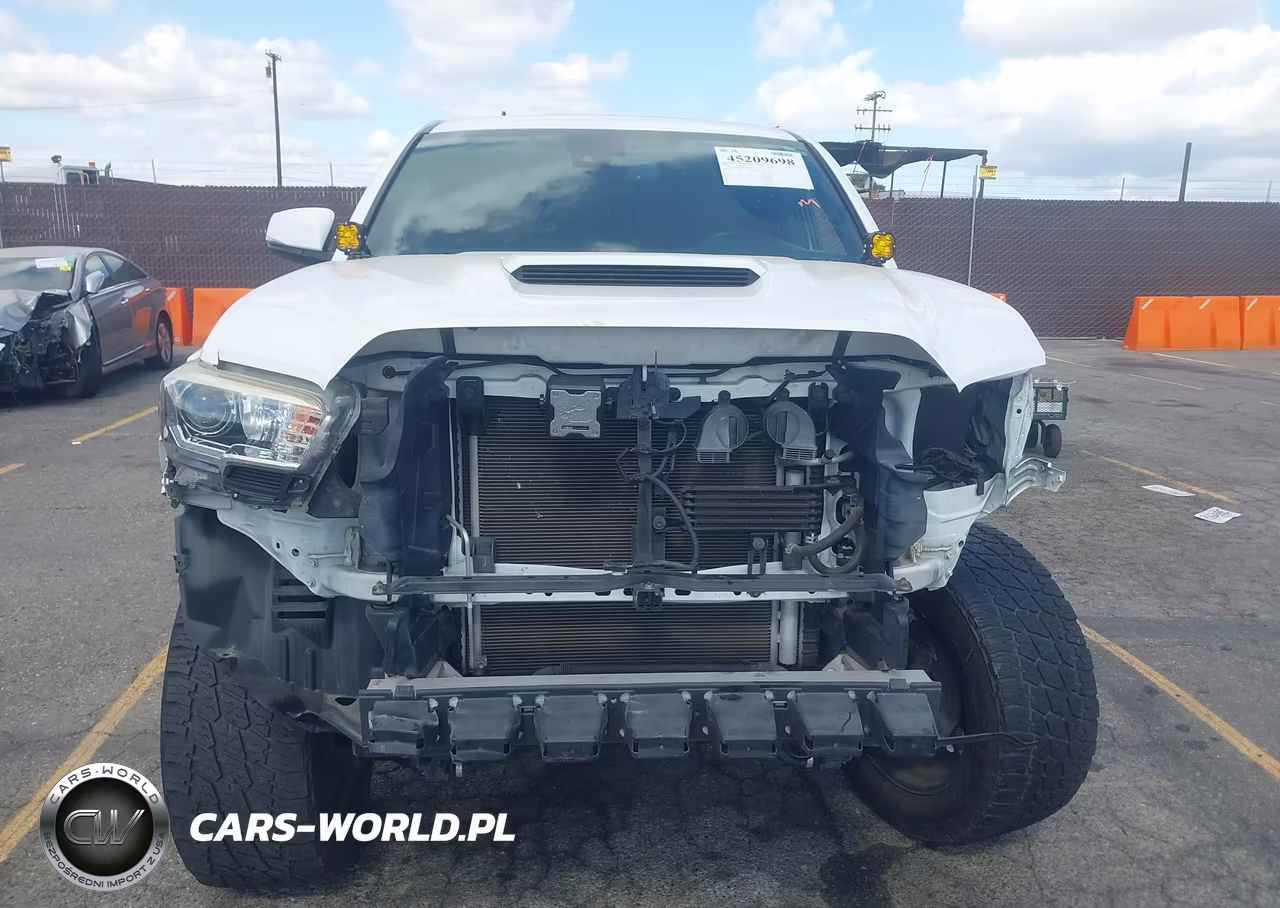 2019 Toyota Tacoma Trd Sport VIN:3TMDZ5BN6KM056568 - 12
