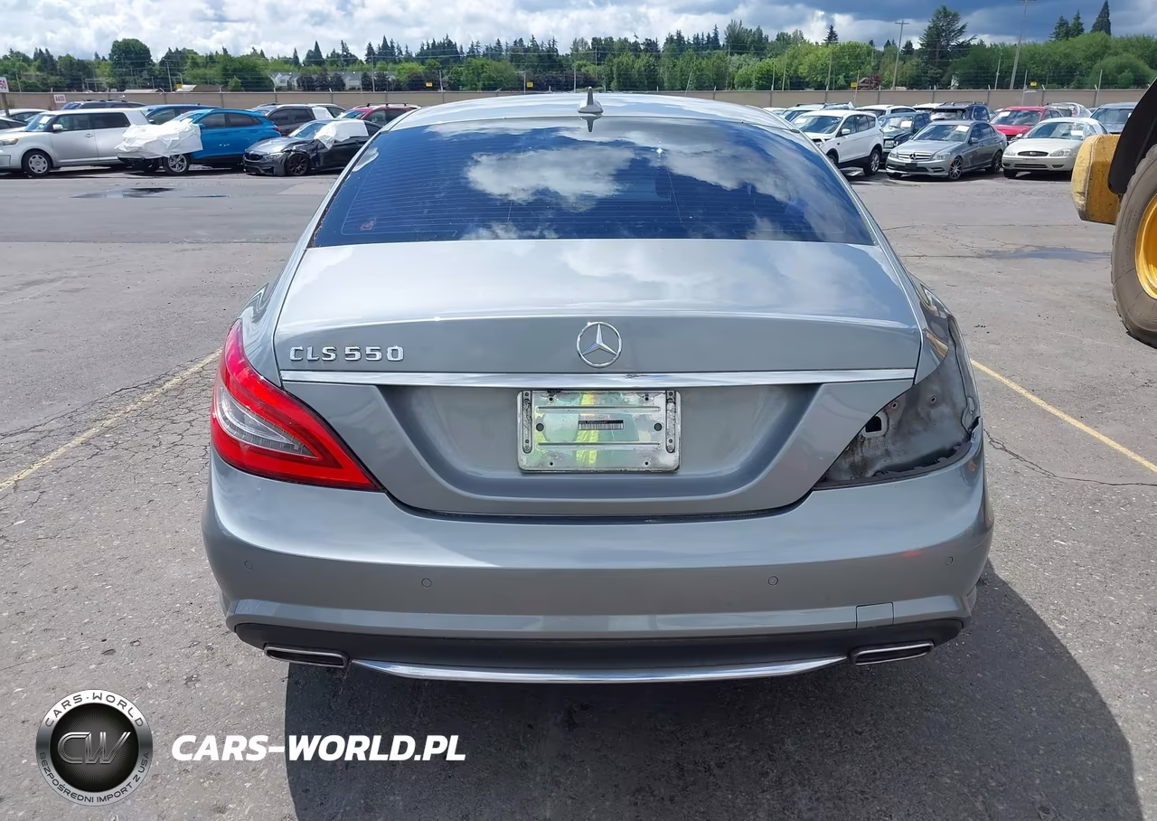 2013 Mercedes-Benz Cls 550 VIN:WDDLJ7DB5DA064491 - 17