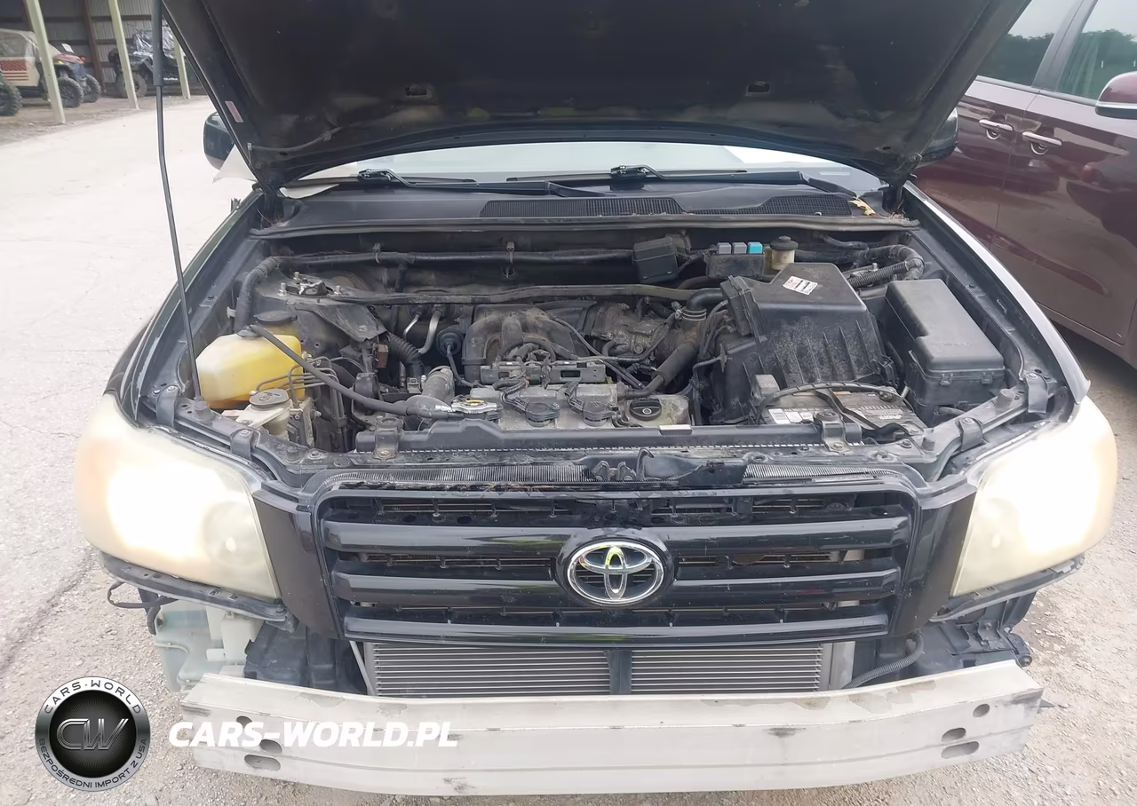 2004 Toyota Highlander V6 VIN:JTEEP21A040035885 - 10