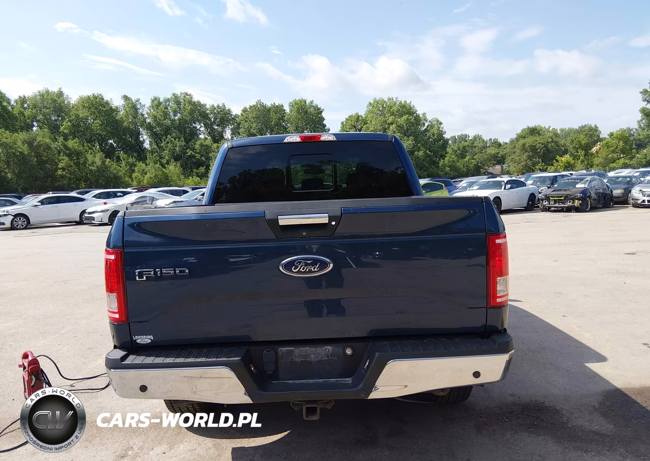 2017 Ford F-150 Xlt VIN:1FTEW1EG2HKE36705 - 16