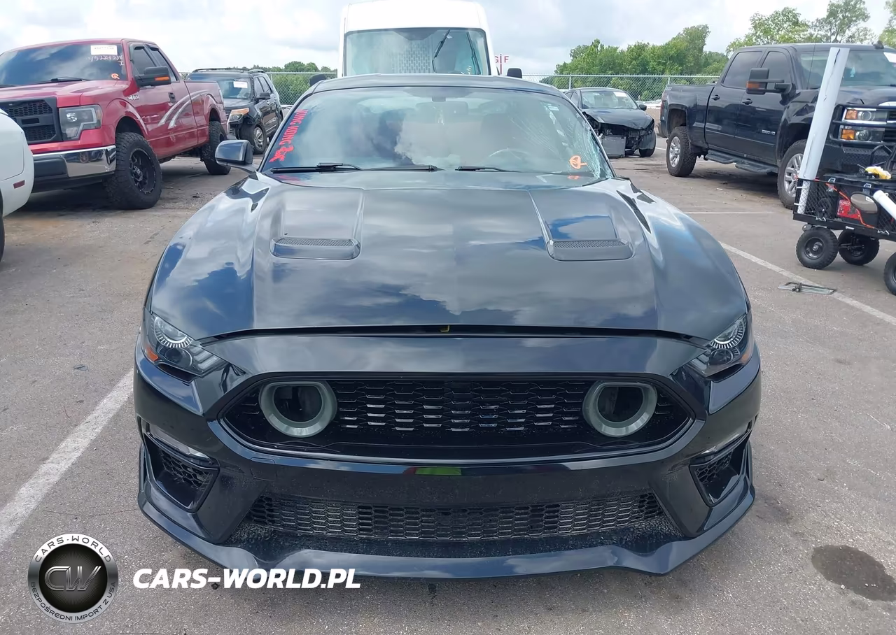 2020 Ford Mustang Gt Fastback VIN:1FA6P8CF4L5189950 - 12