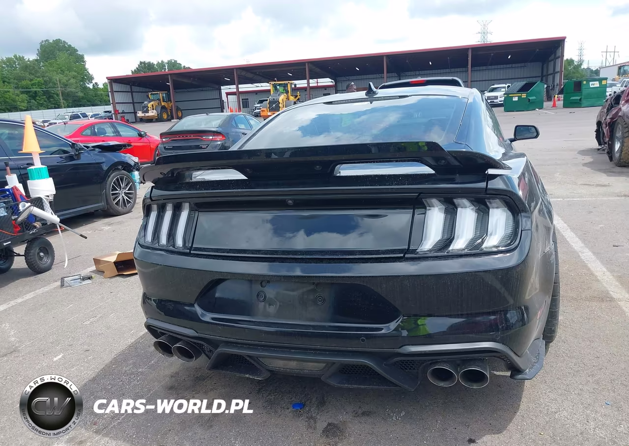 2020 Ford Mustang Gt Fastback VIN:1FA6P8CF4L5189950 - 16