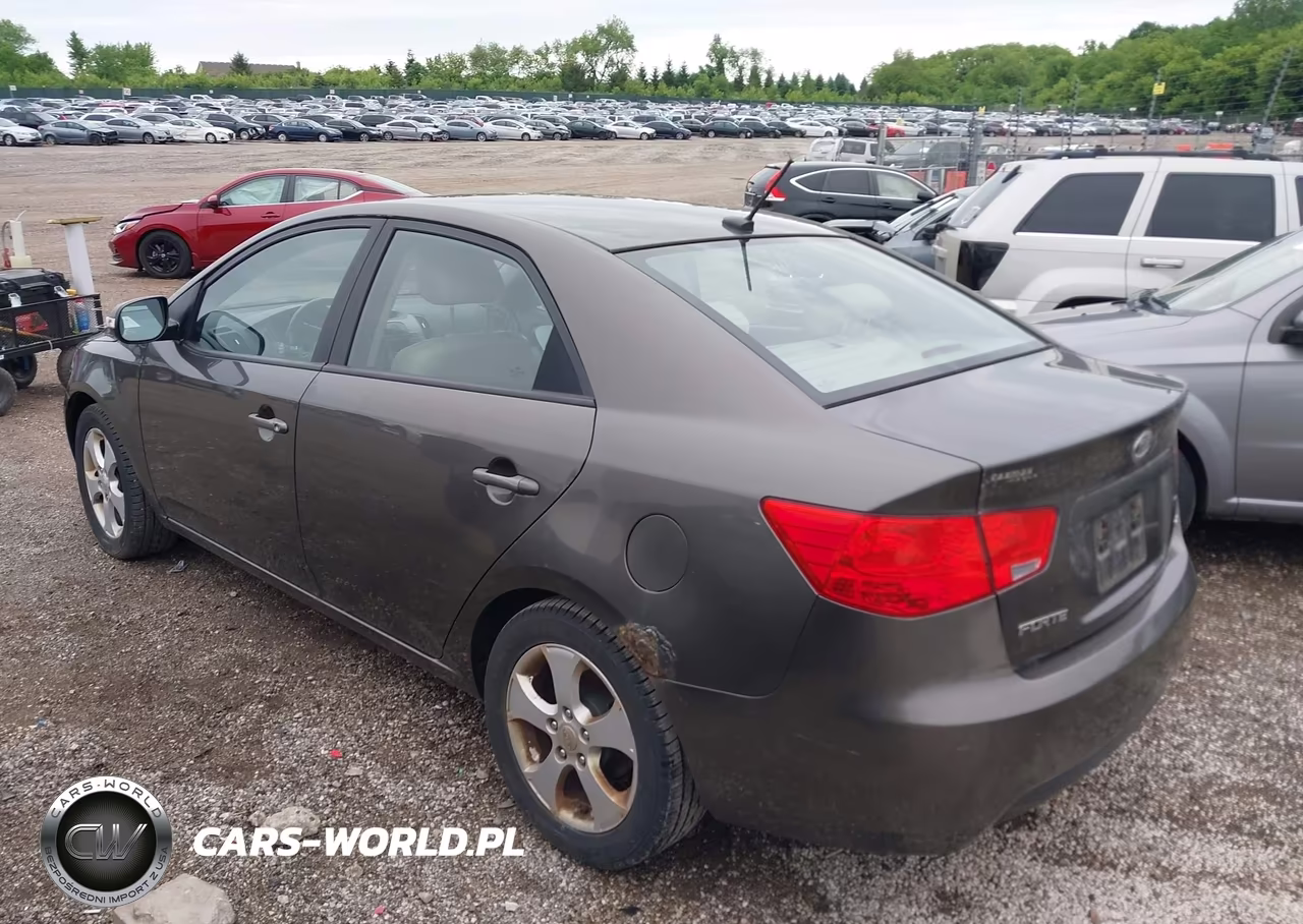 2010 Kia Forte Ex VIN:KNAFU4A23A5251862 - 3