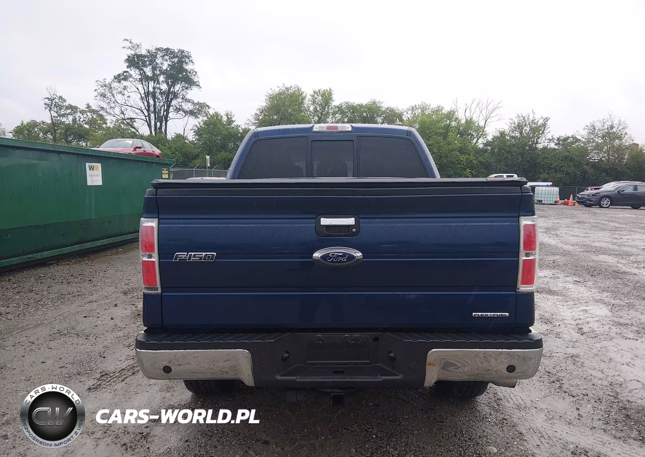 2012 Ford F-150 Xlt VIN:1FTFW1EF9CFC53671 - 17